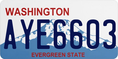 WA license plate AYE6603