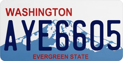 WA license plate AYE6605