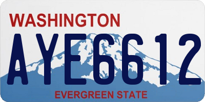 WA license plate AYE6612