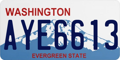 WA license plate AYE6613