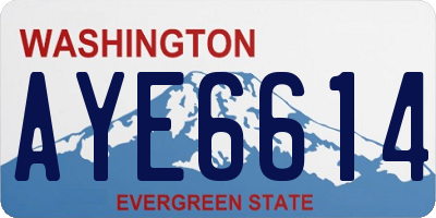 WA license plate AYE6614