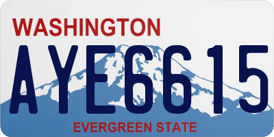 WA license plate AYE6615