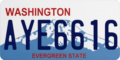 WA license plate AYE6616