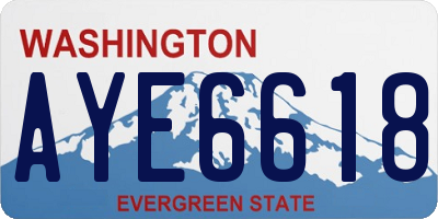 WA license plate AYE6618