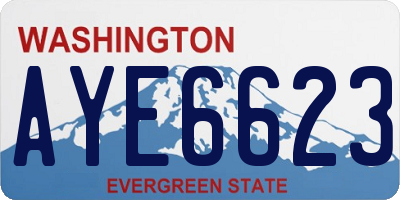 WA license plate AYE6623