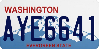 WA license plate AYE6641