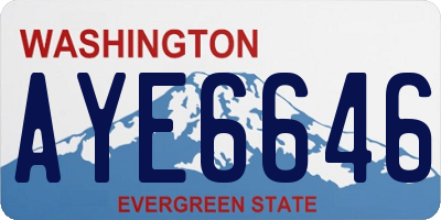 WA license plate AYE6646