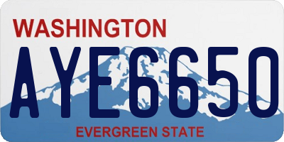 WA license plate AYE6650