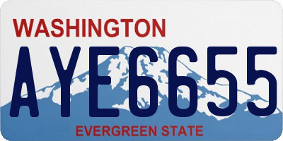 WA license plate AYE6655