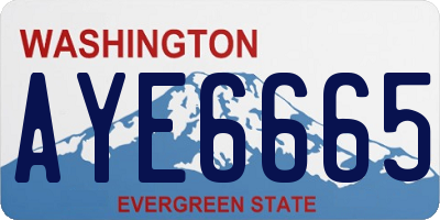 WA license plate AYE6665