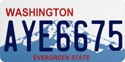 WA license plate AYE6675