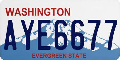 WA license plate AYE6677