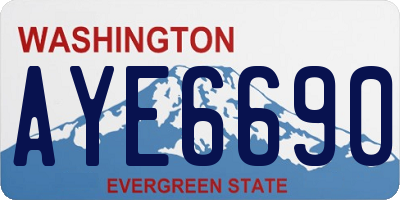 WA license plate AYE6690