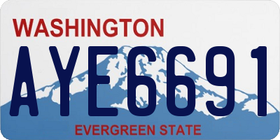 WA license plate AYE6691