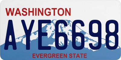 WA license plate AYE6698