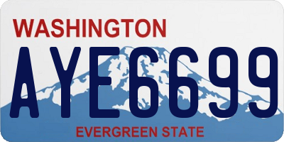 WA license plate AYE6699