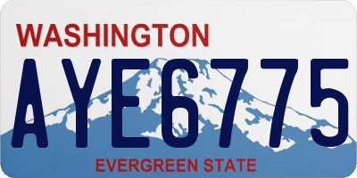 WA license plate AYE6775