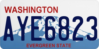 WA license plate AYE6823
