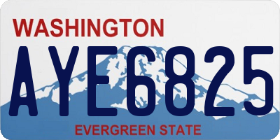 WA license plate AYE6825