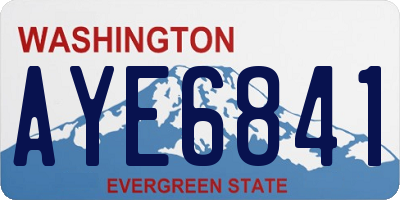 WA license plate AYE6841