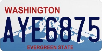 WA license plate AYE6875