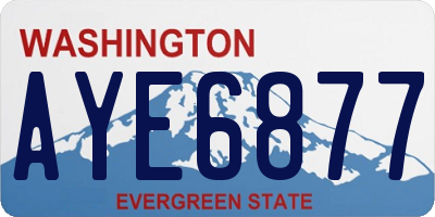WA license plate AYE6877