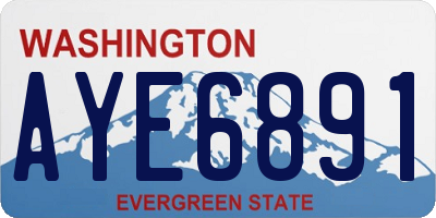 WA license plate AYE6891