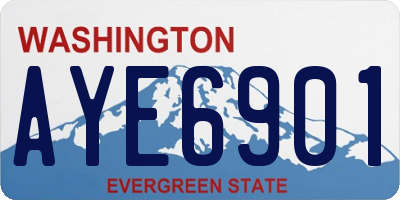 WA license plate AYE6901