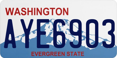 WA license plate AYE6903