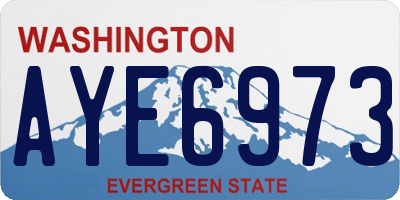 WA license plate AYE6973