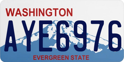 WA license plate AYE6976