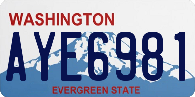 WA license plate AYE6981