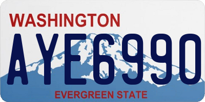 WA license plate AYE6990