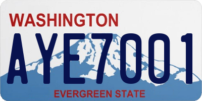 WA license plate AYE7001