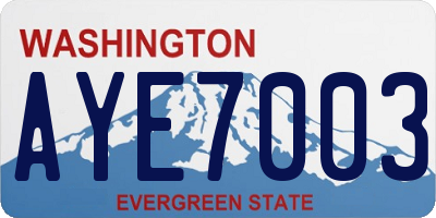 WA license plate AYE7003