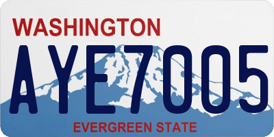 WA license plate AYE7005