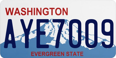 WA license plate AYE7009