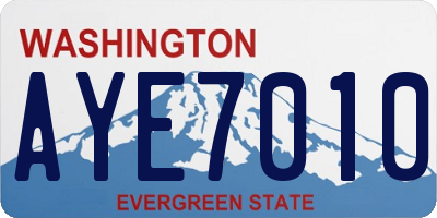 WA license plate AYE7010