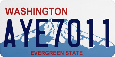 WA license plate AYE7011