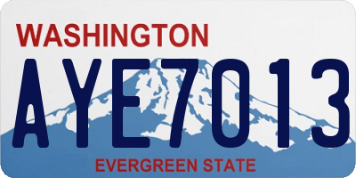 WA license plate AYE7013