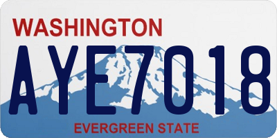 WA license plate AYE7018