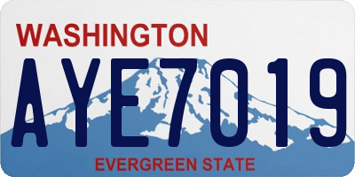 WA license plate AYE7019