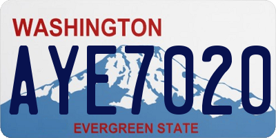 WA license plate AYE7020