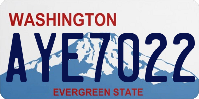 WA license plate AYE7022