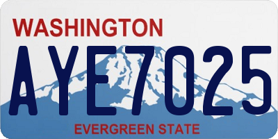 WA license plate AYE7025