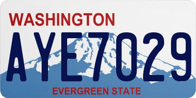 WA license plate AYE7029