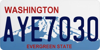 WA license plate AYE7030