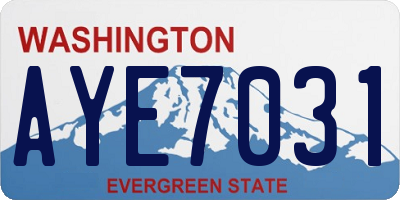 WA license plate AYE7031