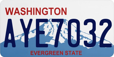 WA license plate AYE7032