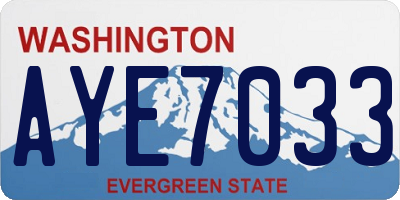 WA license plate AYE7033